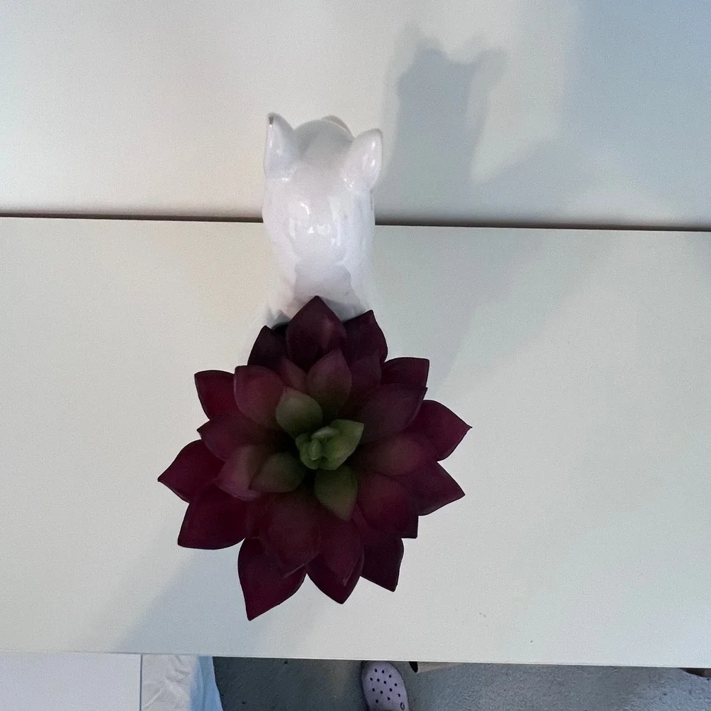 Primitives by Kathy White Ceramic Llama Planter with Faux Burgundy Succulent‎